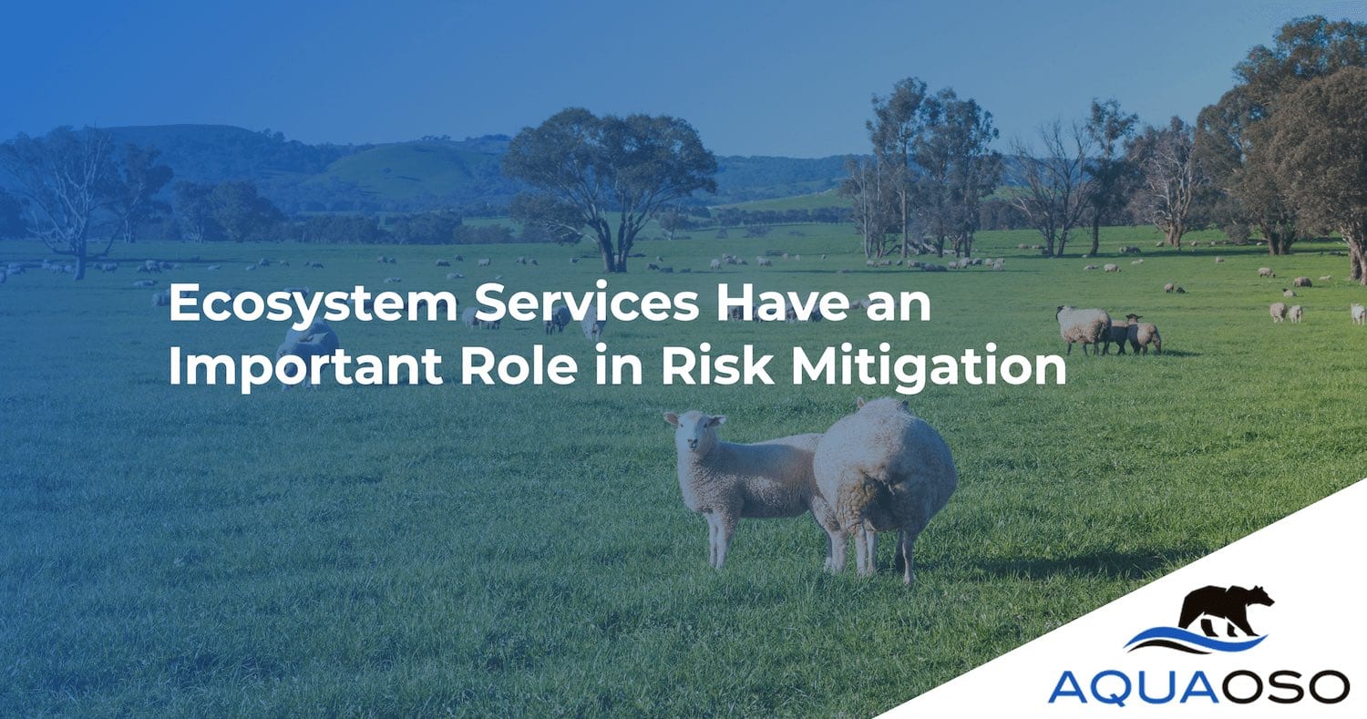 Ecosystem Services Have an Important Role in Risk Mitigation