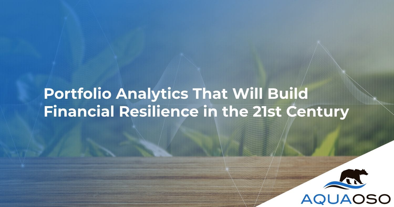 Portfolio Analytics That Will Build Financial Resilience in the 21st Century