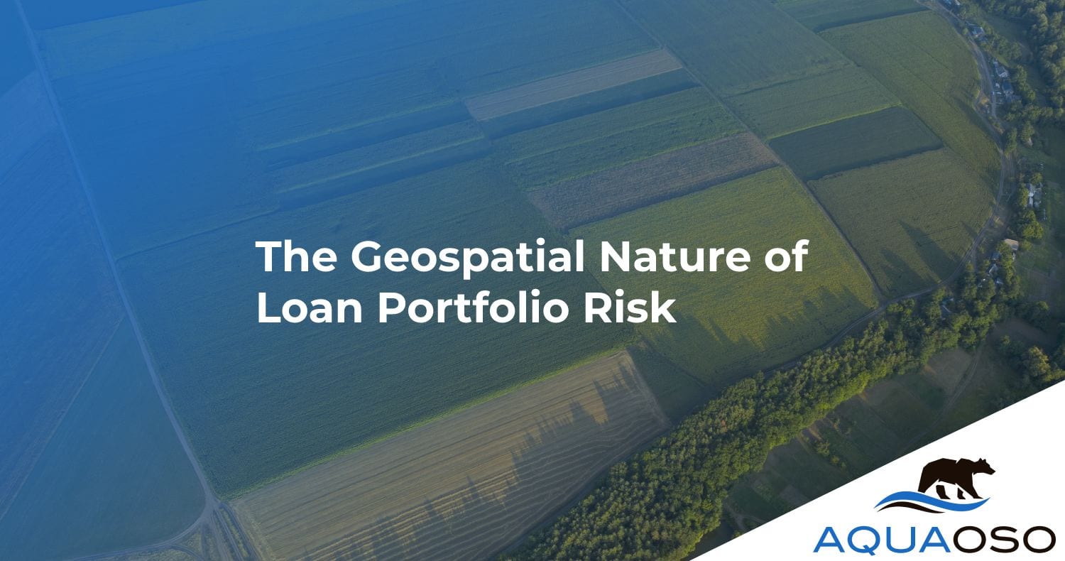 The Geospatial Nature of Loan Portfolio Risk