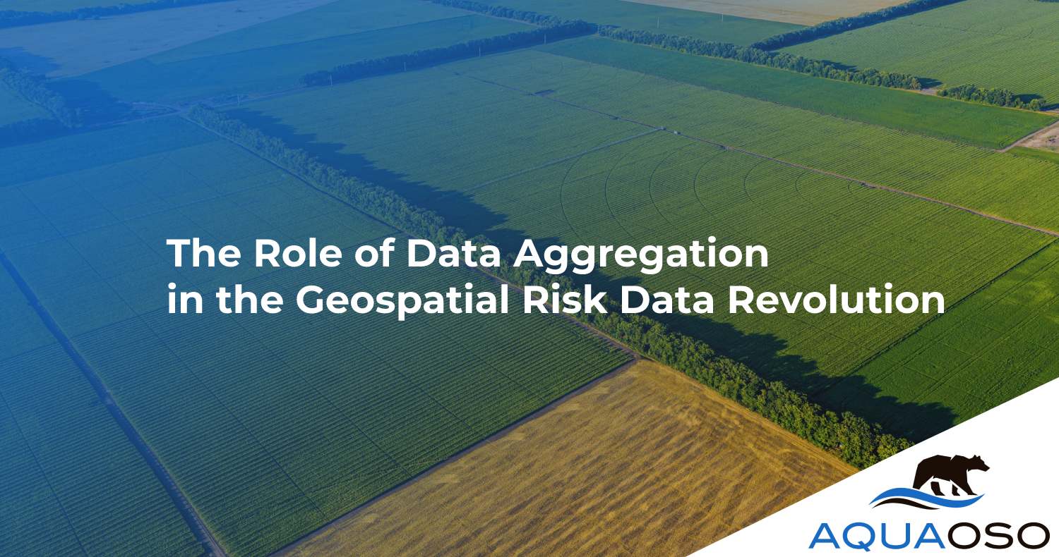 The Role of Data Aggregation in the Geospatial Risk Data Revolution