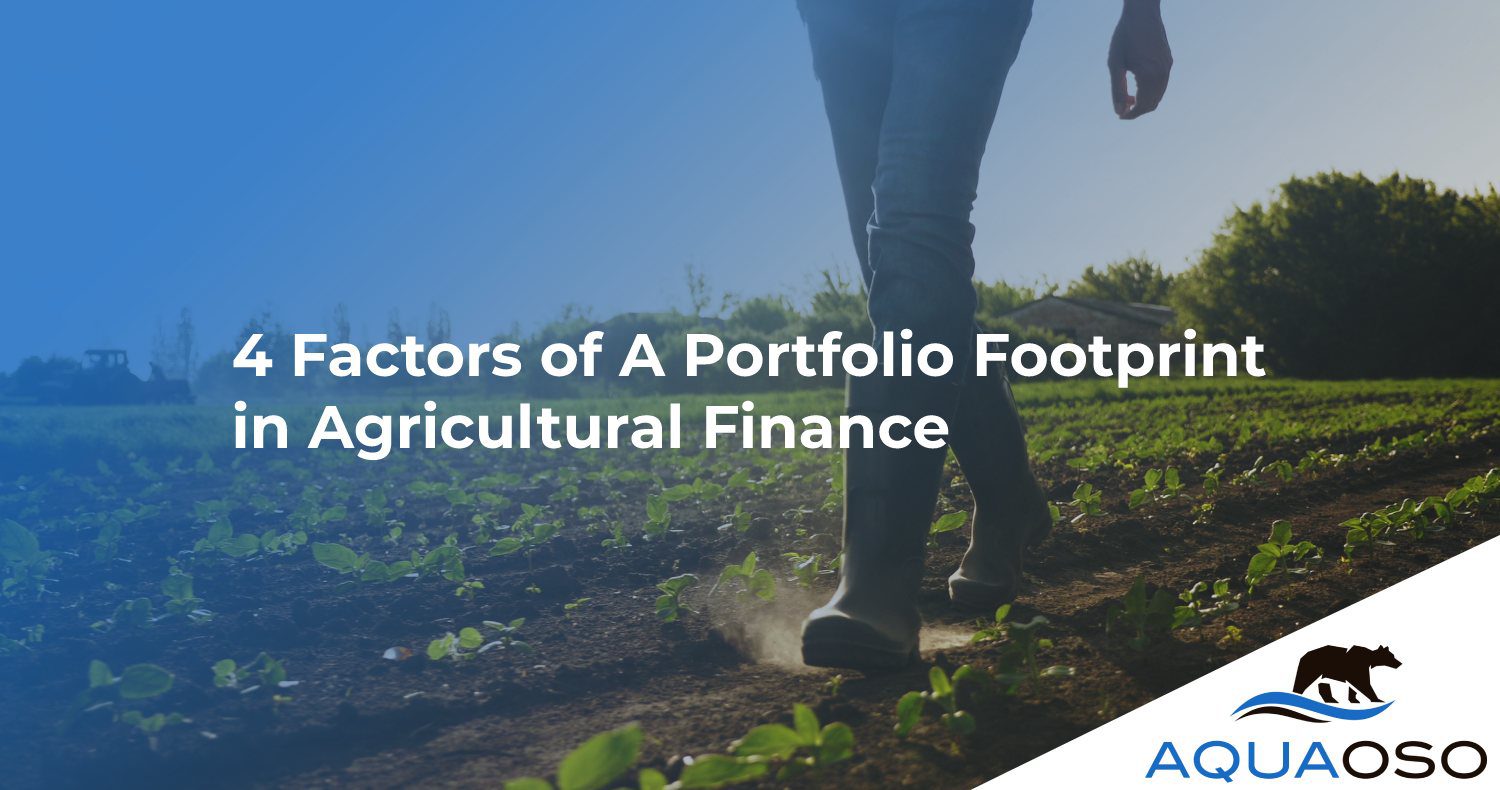 4 Factors of A Portfolio Footprint in Agricultural Finance