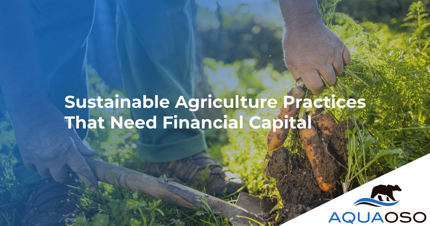 Sustainable Agriculture Practices That Need Financial Capital